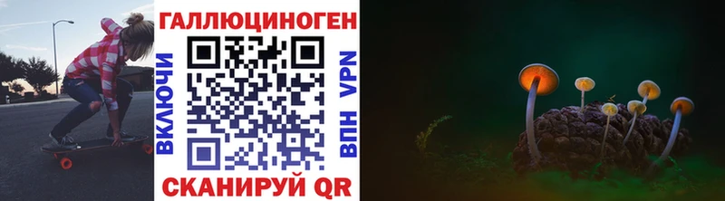 ОМГ ОМГ ссылка  Верхняя Пышма  Псилоцибиновые грибы мухоморы 